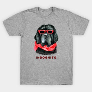 Newfoundland Indognito T-Shirt